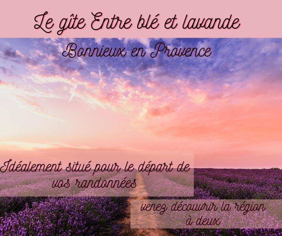 Entre blé et lavande Apartamento Bonnieux Exterior foto